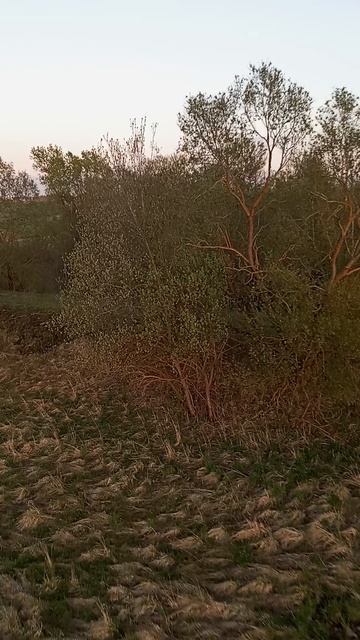 Полет на воздушном шаре_6 смотреть онлайн