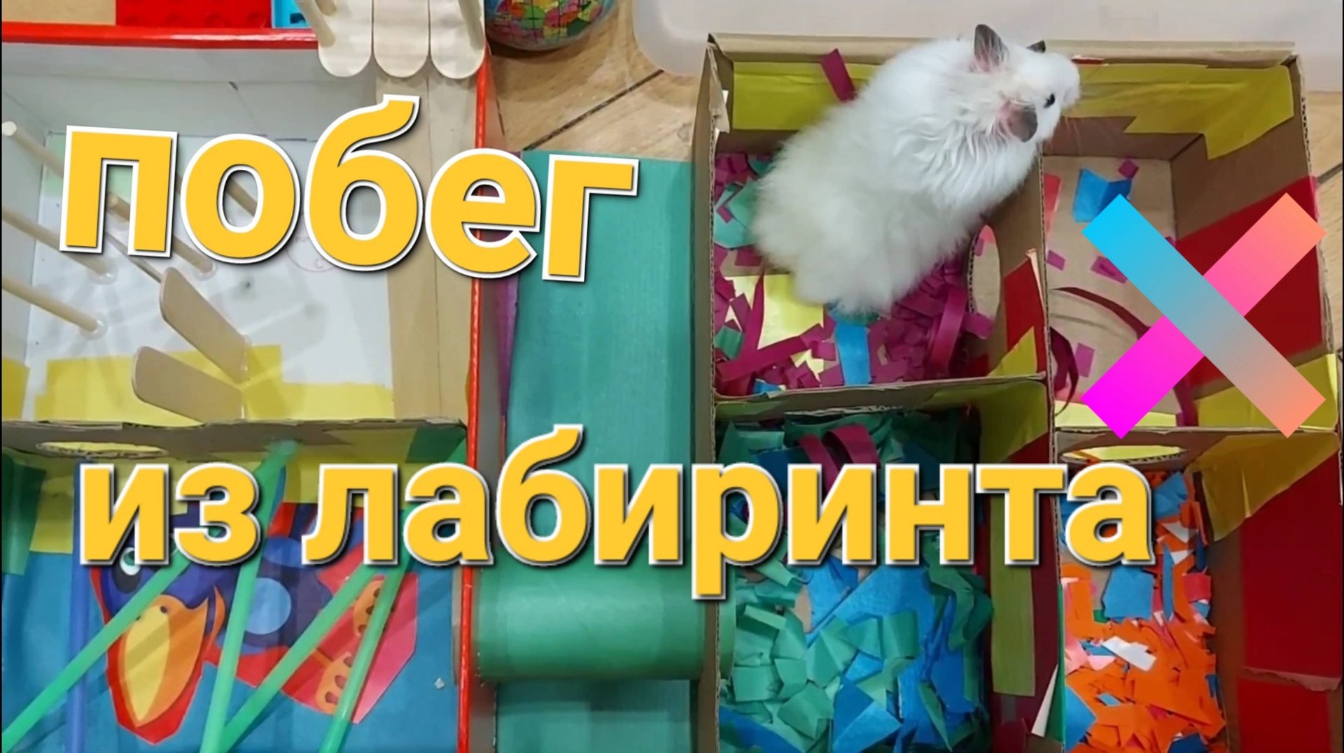 Белый хомячок убегает из лабиринта смотреть онлайн