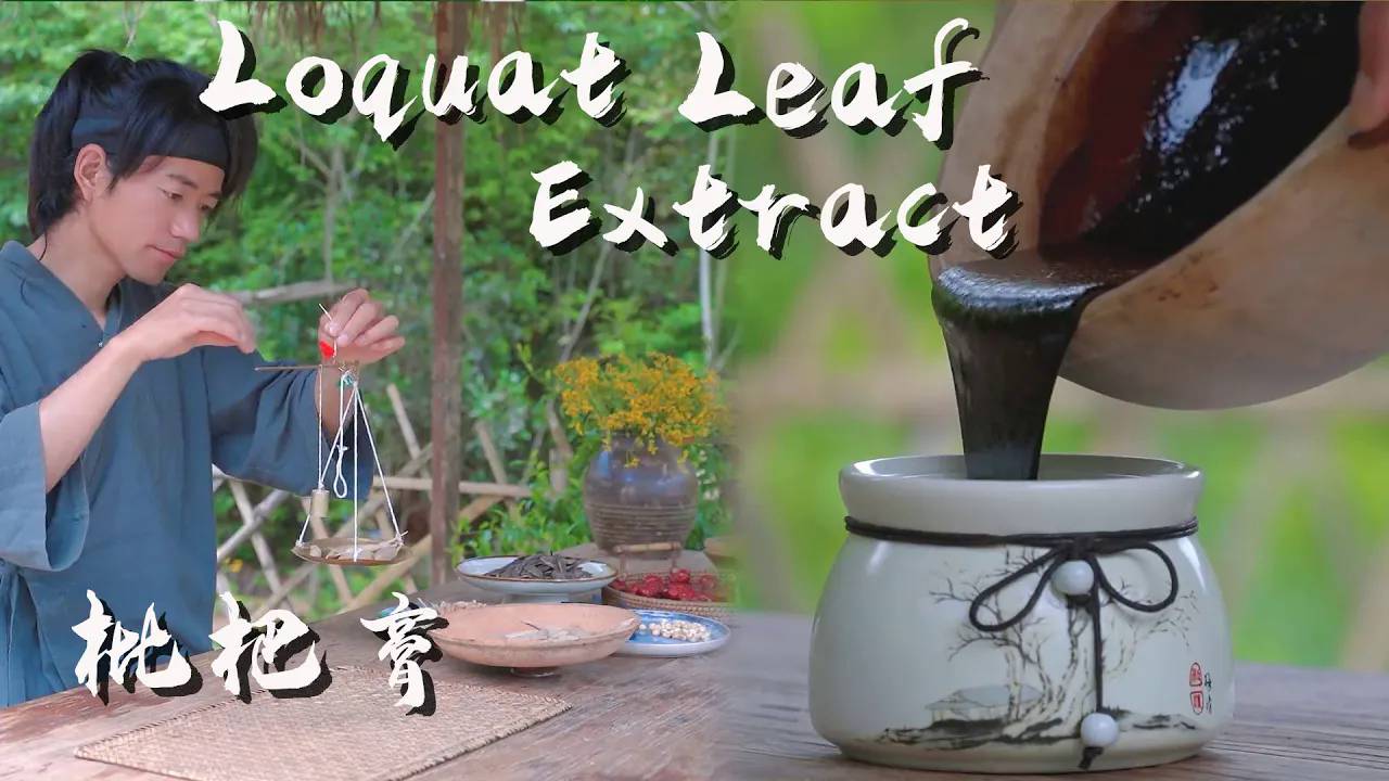 Loquat Leaf Extract：Made From Seven Traditional Chinese Medicines