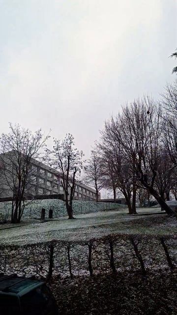 Таки за окном снег лежит. 7 января 2024 г. Воскресенье. ПОЗДРАВЛЯЮ:) ВСЕХ✨️С🎄РОЖДЕСТВОМ!!!❤️