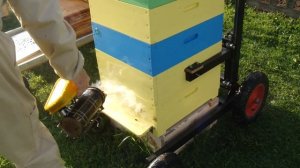 Замена промежуточного дна улья.