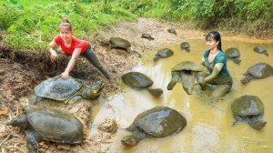 Работящая Ли Тиу Тоан, из Вьетнама. Улов мидий в грязном пруду, продаже на сельском рынке.