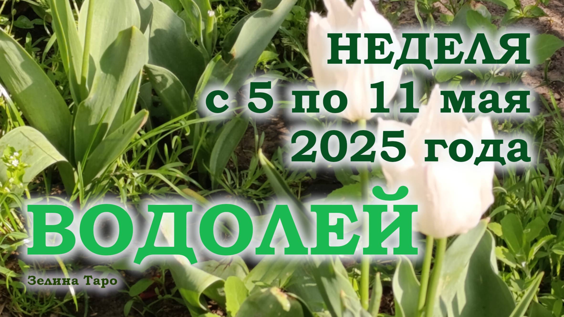 ВОДОЛЕЙ | ТАРО прогноз на неделю с 5 по 11 мая 2025 года