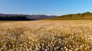 Вечная весна - Olga Tymoshchuk, Nelli Tymoshchuk, Elina Tymoshchuk, Milana Tymoshcuk