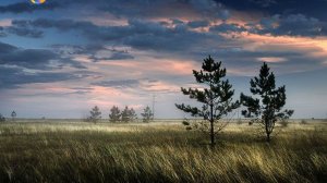 Песня "Тишина ". Кавер