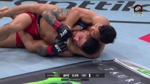 Куанг Ле победил Гастона Боланоса удушающим приемом (видео). UFC Fight Night