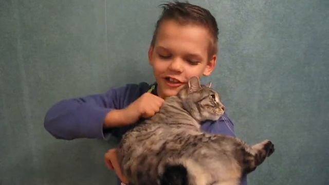 Обзор на Кошку
