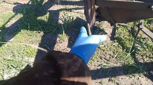 как отрегулировать трехлемешный (корпусной) плуг на мтз.