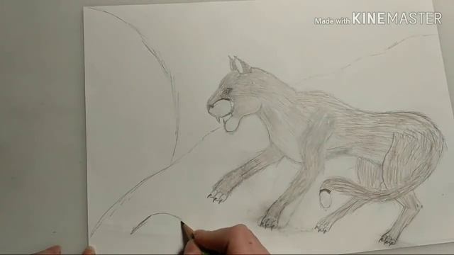 Рисую пуму смотреть онлайн