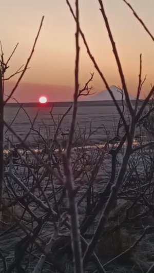 Аэролодка PIONEER вулкан "Опала" Камчатка... отзыв опытного охотника о лодке