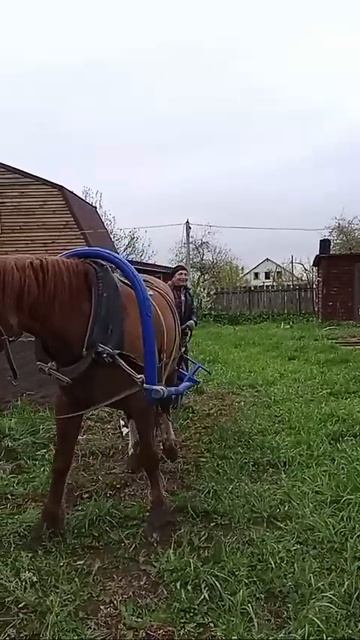 Посадка картофеля смотреть онлайн