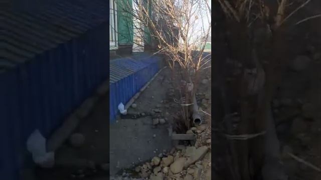 Дорожные проблемы Тайтурки смотреть онлайн
