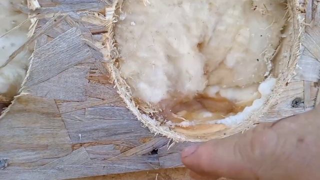 Архитектурный вкус