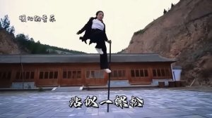 Китайское кунг-фу