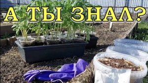 МАЙ: план работ на ОГОРОДЕ💪💪💪