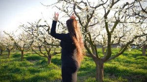 гр. Элит - Лейли