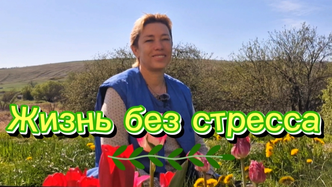 Жизнь без стресса смотреть онлайн
