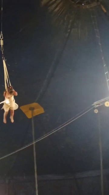 Под куполом цирка 💥💥