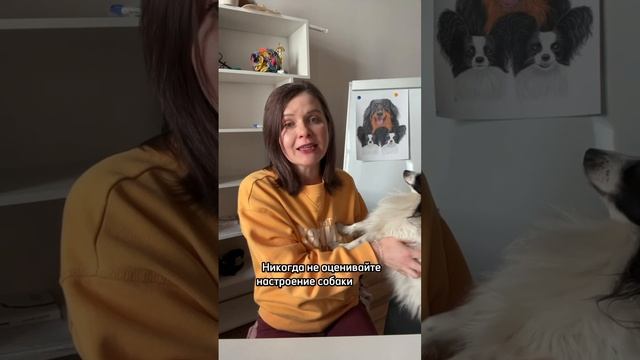 Почему собака виляет хвостом?