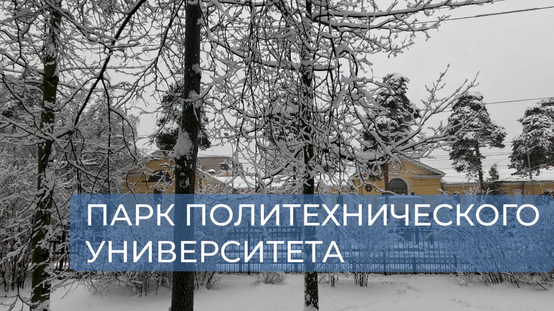 Парк Политехнического университета. Санкт-Петербург (зима)
