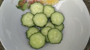 Длинноплодный огурец Пекинский гурман F1 оказался на высоте)