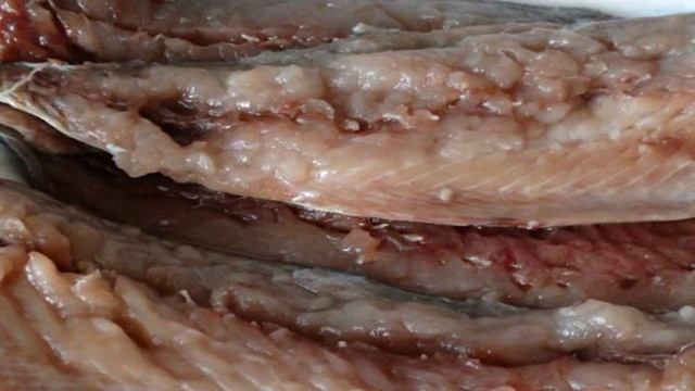 Книга рецептов