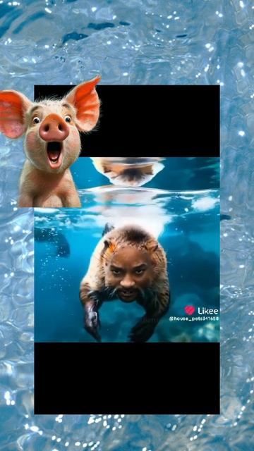 он горячий бобрёнок выходи ты с ним на танец смотреть онлайн