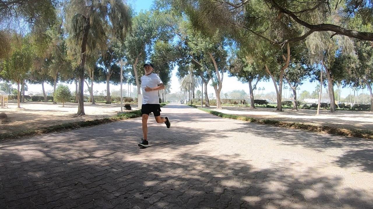 ДУБАЙ ОБЪЕДИНЕННЫЕ АРАБСКИЕ ЭМИРАТЫ БЕГОМ ЗА ВПЕЧАТЛЕНИЯМИ ПАРК САФА