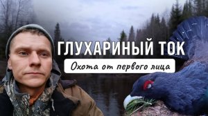 НЕЗАБЫВАЕМЫЙ ТОК. Как проходила охота на глухаря, одно утро охотника.