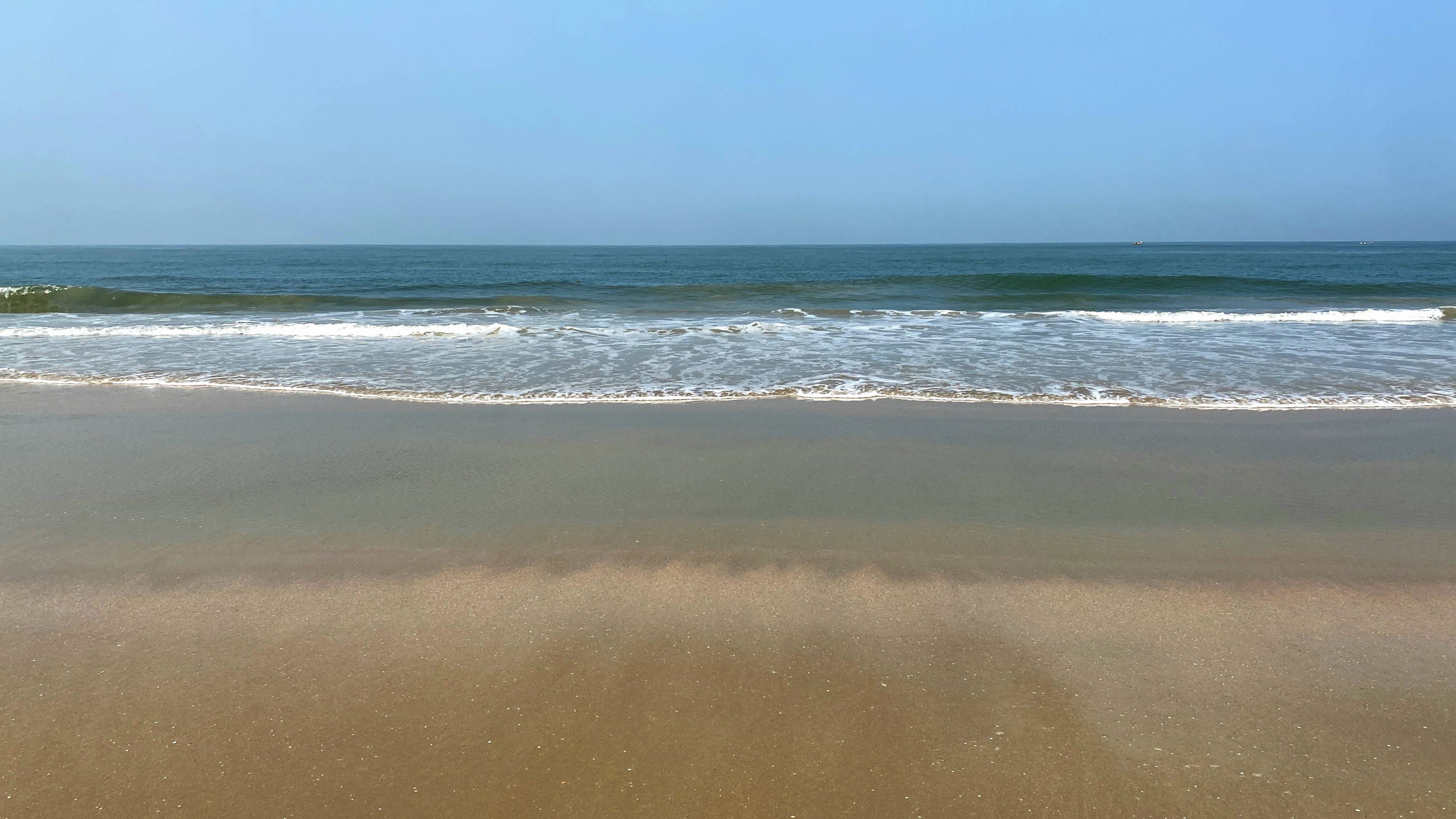 Дикая Индия. Змеи на пляжах Гоа смотреть онлайн