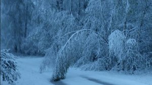 Шел первомайский снег...