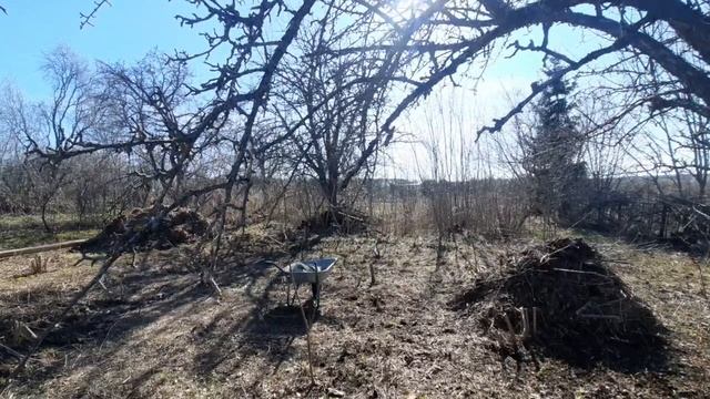 Разобрали пристрой! Пилю деревья и делаю мульчу! смотреть онлайн