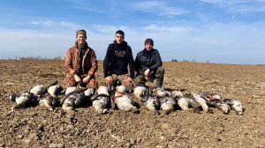 Охота на гуся 2025. Охота на гуся в Беларуси.