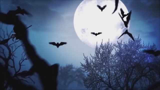 фиолетово- черный смотреть онлайн