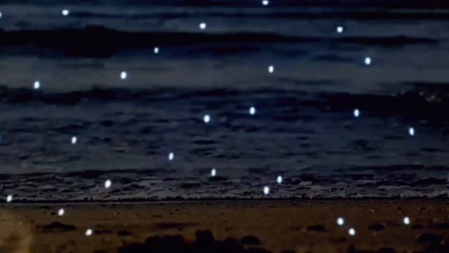 В танце кружимся