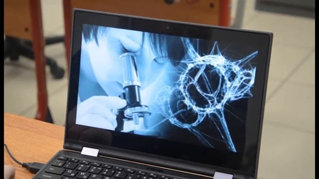 Белые и пушистые. Но очень опасные! смотреть онлайн