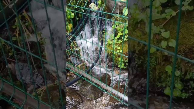 АБХАЗИЯ. ВОДОПАД,, ПТИЧИЙ КЛЮВ"