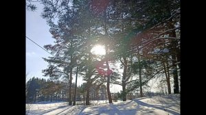 ВЕСНА! ЖИВИ В ЛЮБВИ, ВСЕГДА КАЙФУЙ!