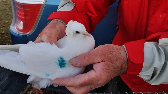 4.04.2025г Ярмарка Усть-Лаба ч.1 смотреть онлайн