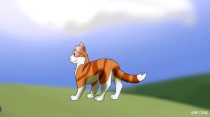 коты воители история яроликой