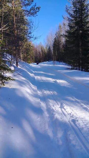 Буран и ямаха