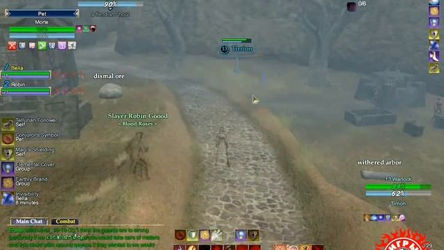 Обзор EverQuest II PVP