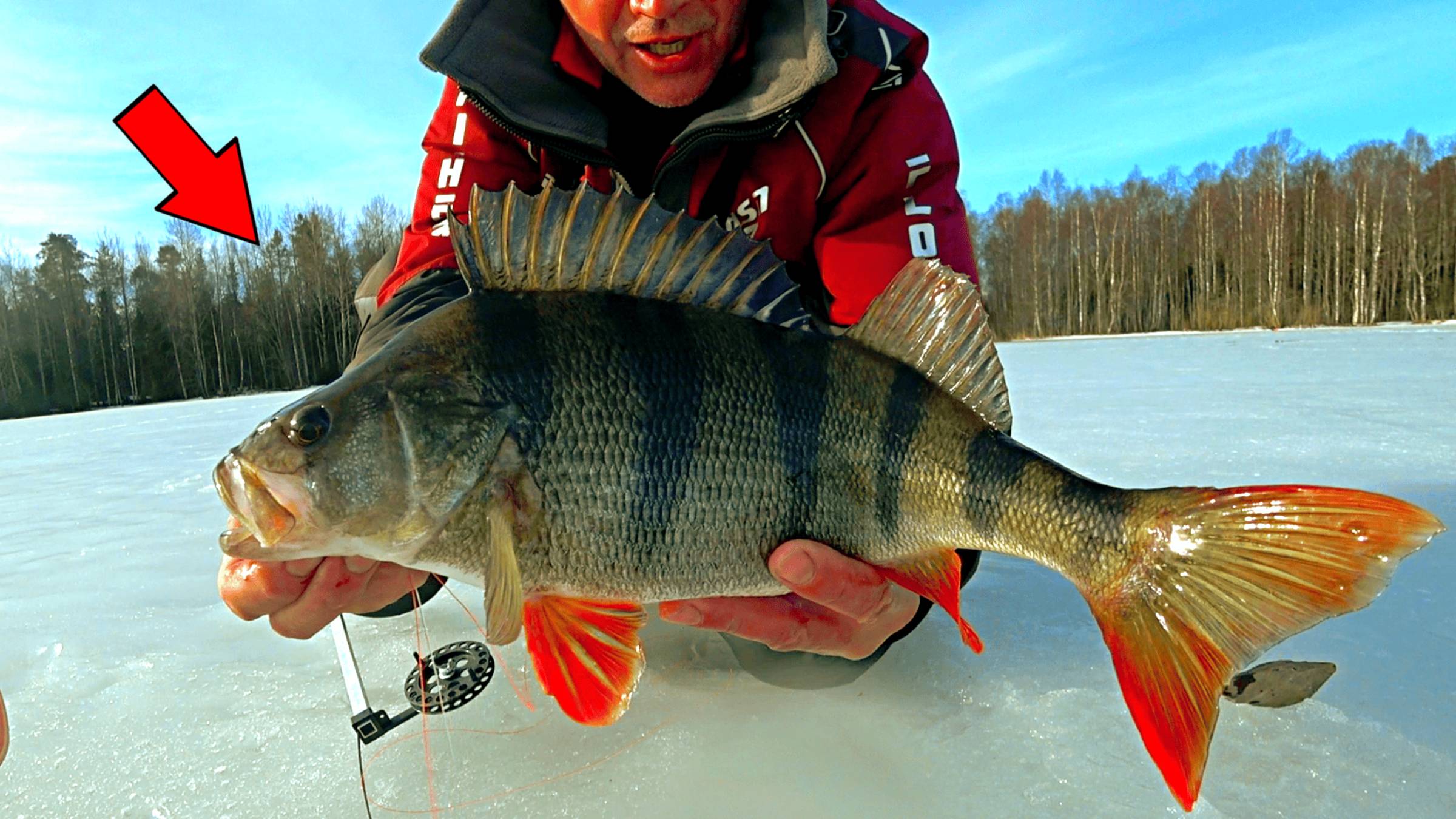РЫБАК БЫЛ В ШОКЕ КОГДА УВИДЕЛ ЭТО! ТАКОГО МОНСТРА НЕ ОЖИДАЛ! Рыбалка на жерлицы, весенний жор 2025 смотреть онлайн