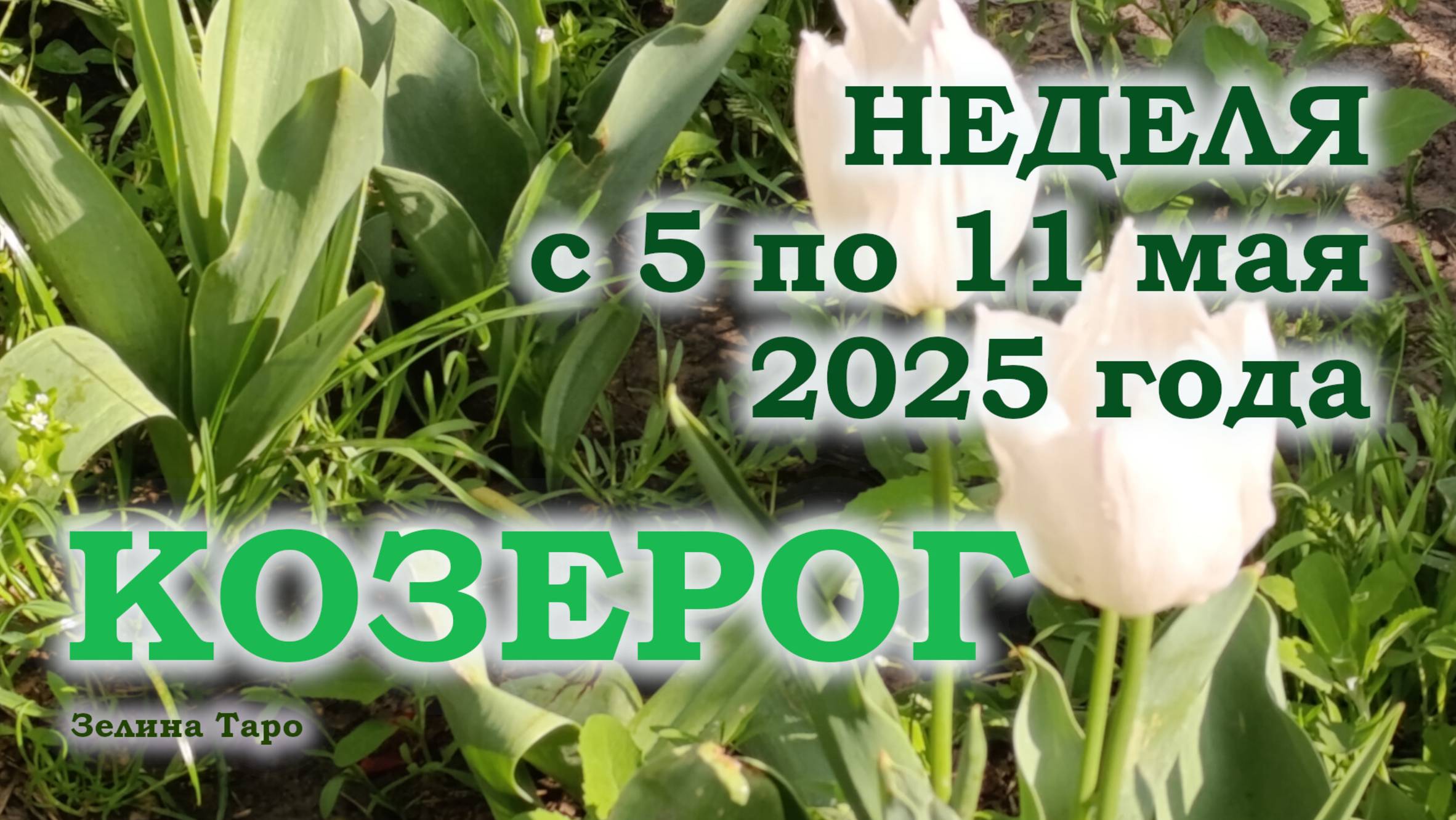 КОЗЕРОГ | ТАРО прогноз на неделю с 5 по 11 мая 2025 года