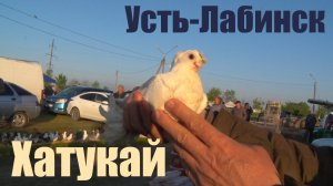 Птичий рынок. Усть-Лабинск (Хатукай). [04.05.2025]