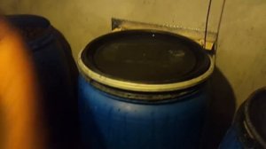 НАЧАЛ ДЕЛАТЬ ДОМАШНЕЕ ВИНОГРАДНОЕ ВИНО