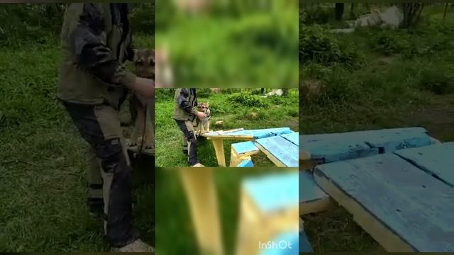 Учимся ползать и зодить по мостику смотреть онлайн