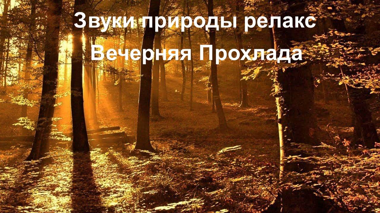 Звуки природы Релакс. Вечерняя прохлада. смотреть онлайн