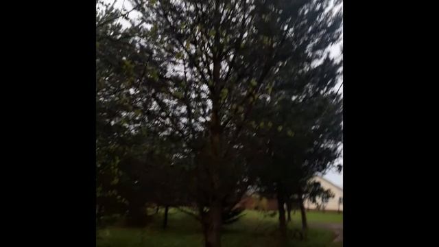 Дождливый майский день.mp4 смотреть онлайн