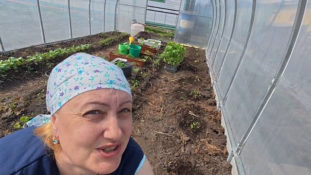 Для растений порядок не главное смотреть онлайн